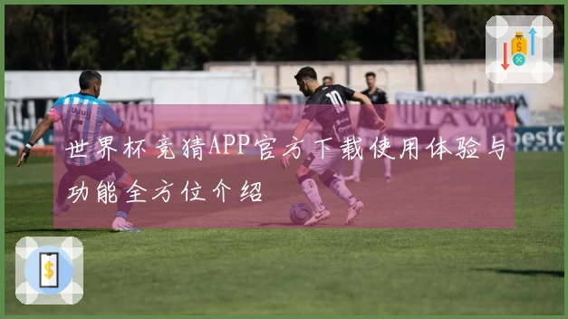 世界杯竞猜APP官方下载使用体验与功能全方位介绍