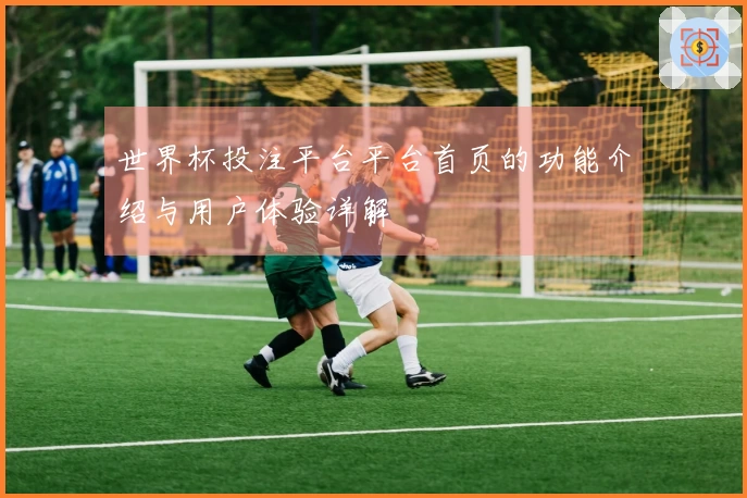 世界杯投注平台平台首页的功能介绍与用户体验详解