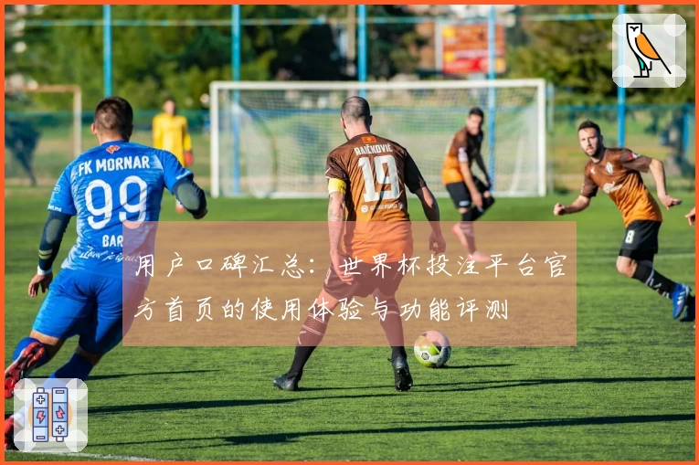 用户口碑汇总：世界杯投注平台官方首页的使用体验与功能评测
