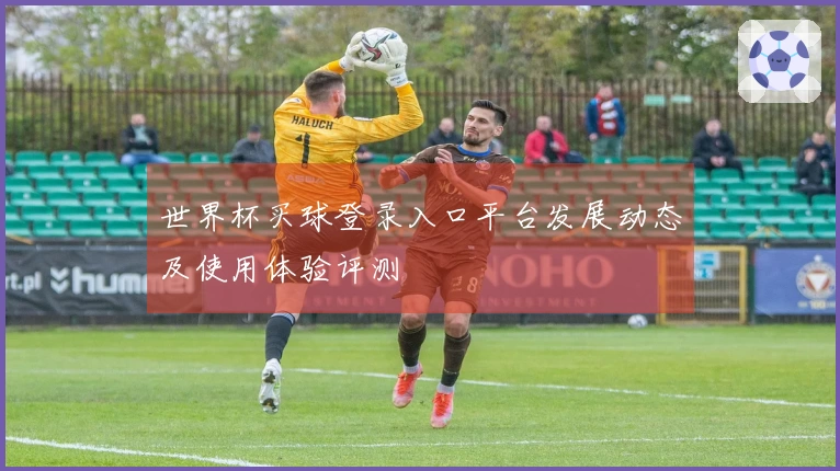 世界杯买球登录入口平台发展动态及使用体验评测
