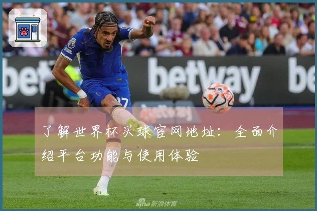 了解世界杯买球官网地址：全面介绍平台功能与使用体验