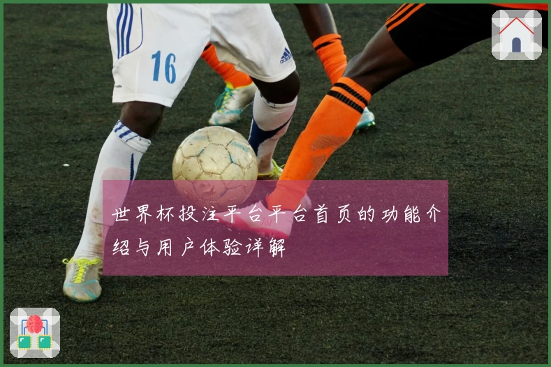 世界杯投注平台平台首页的功能介绍与用户体验详解