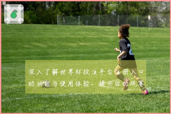 深入了解世界杯投注平台注册入口的功能与使用体验，提升你的观赛乐趣