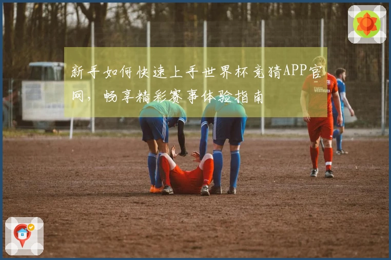 新手如何快速上手世界杯竞猜APP官网，畅享精彩赛事体验指南